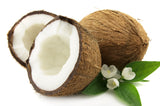 Norvik Coconut Oil Moisturizer 18oz
