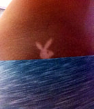 Playboy Bunny Tanning Stickers